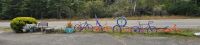 PICTURES/Art  101 - Bandon/t_Bike Display.jpg